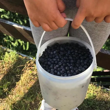 Weekendica 別荘 コパオニク