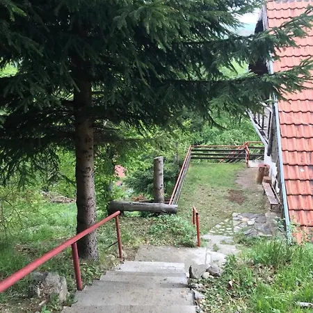 Weekendica Case de vacanță