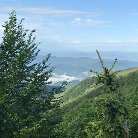 Weekendica Case de vacanță Kopaonik