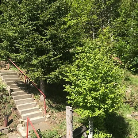 Weekendica Case de vacanță Kopaonik