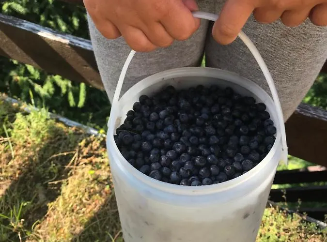 Weekendica 度假居 科帕奥尼克