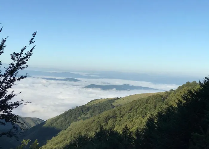 Weekendica 度假居 科帕奥尼克