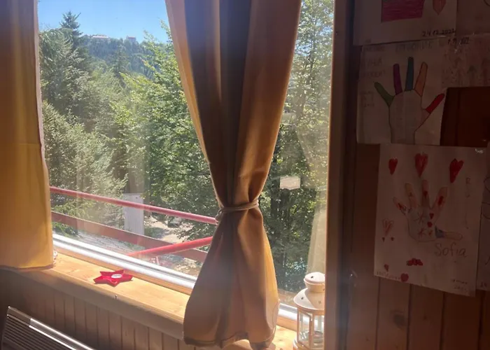 Weekendica 科帕奥尼克