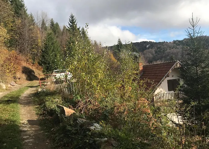 度假居 Weekendica 科帕奥尼克