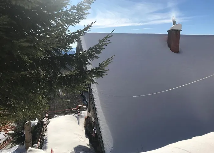 Weekendica * 科帕奥尼克