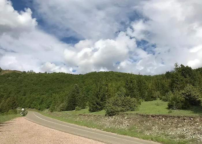 Weekendica 科帕奥尼克