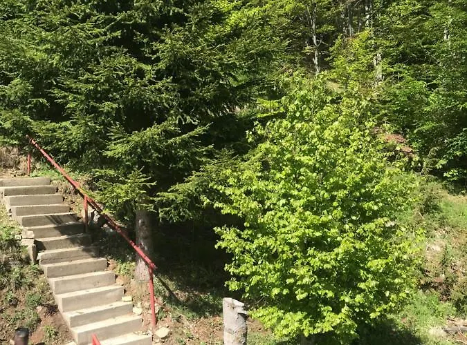 Weekendica 度假居 科帕奥尼克