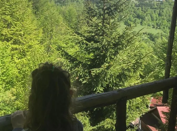 Weekendica * 科帕奥尼克